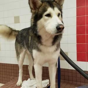 Meet your Posher, Jorge